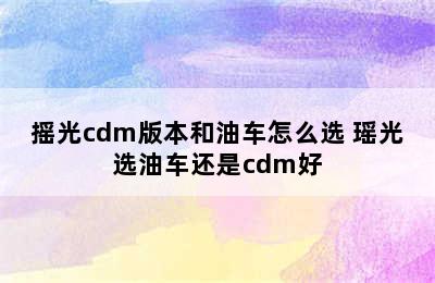 摇光cdm版本和油车怎么选 瑶光选油车还是cdm好